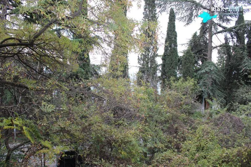 участок в Гурзуфе