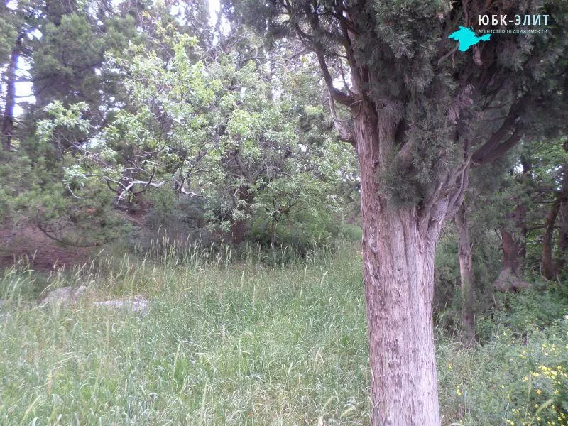участок в Гаспре